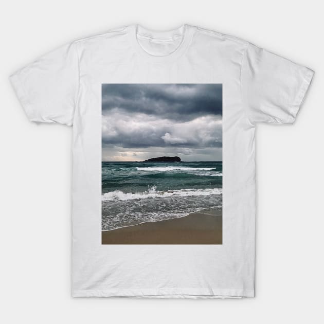 Storm T-Shirt by goodieg